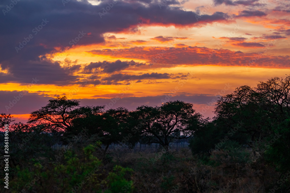 Sunrise over African Plain