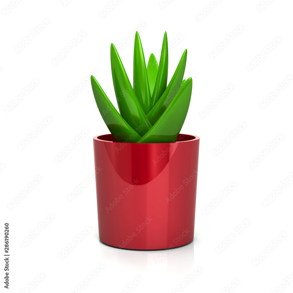 Succulent in red Plant Pot Icon 3d Illustration isolated on white background Succulent in red Plant Pot Icon 3d Illustration isolated on white background