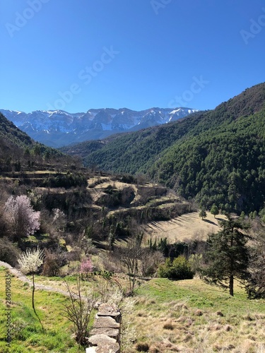 Arseguel