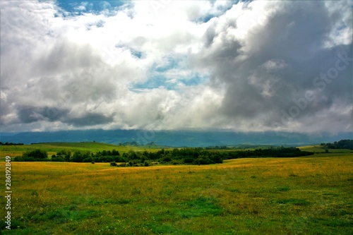 a field with grass and a cloudy sky