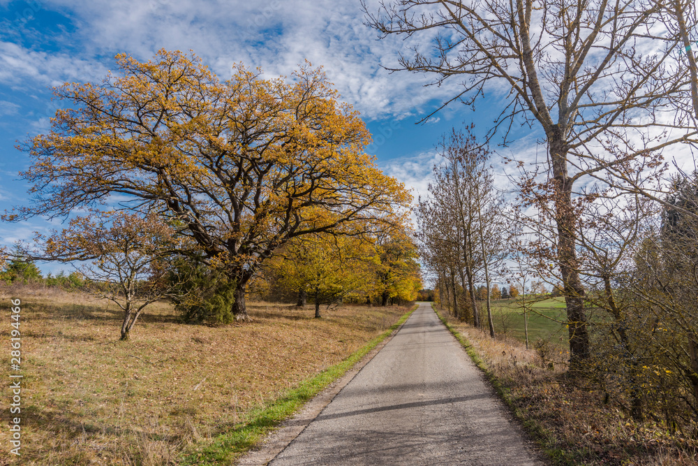 Obraz premium Autumnal nature with meadows and forests beautiful panorama calm day.