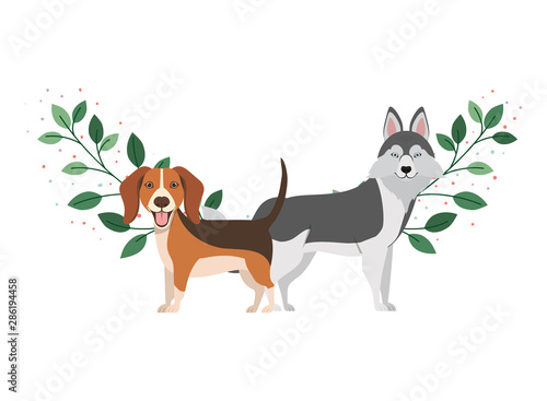 cute and adorable dogs on white background © grgroup
