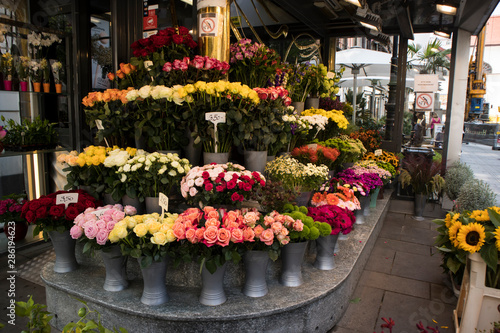 Selection of various flowers on the street in the historical center of Vienna © elenarostunova