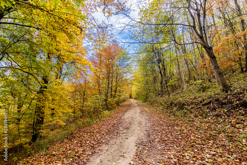 Fototapeta Naklejka Na Ścianę i Meble -  Autumnal nature with meadows and forests beautiful panorama calm day.