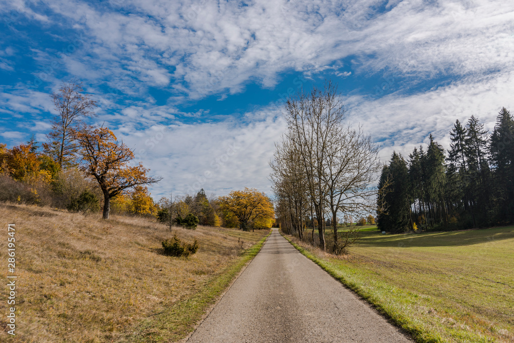 Fototapeta premium Autumnal nature with meadows and forests beautiful panorama calm day.