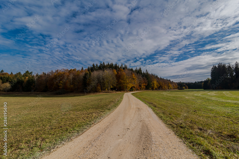 Fototapeta premium Autumnal nature with meadows and forests beautiful panorama calm day.