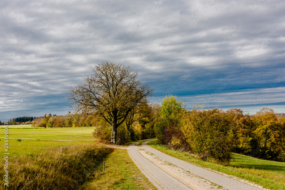 Autumnal nature with meadows and forests beautiful panorama calm day. Autumnal nature with meadows and forests beautiful panorama calm day.
