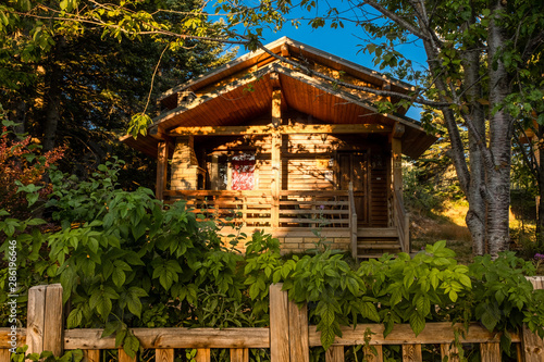 house in the forest