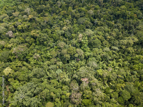 Beautiful drone aerial view of tree tops of brazilian amazon rainforest in summer sunny day. Concept of conservation, ecology, biodiversity, global warming, environment and climate change.