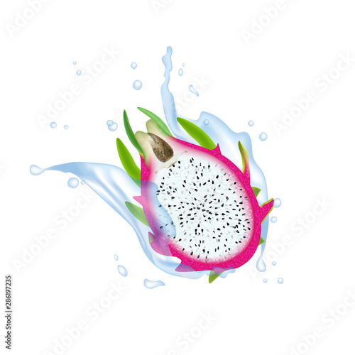 Red dragon fruit, whole fruit and half. Tropical fruits splashing for healthy lifestyle. Realistic Splash 3d Design Element For Web Or Print Packaging.