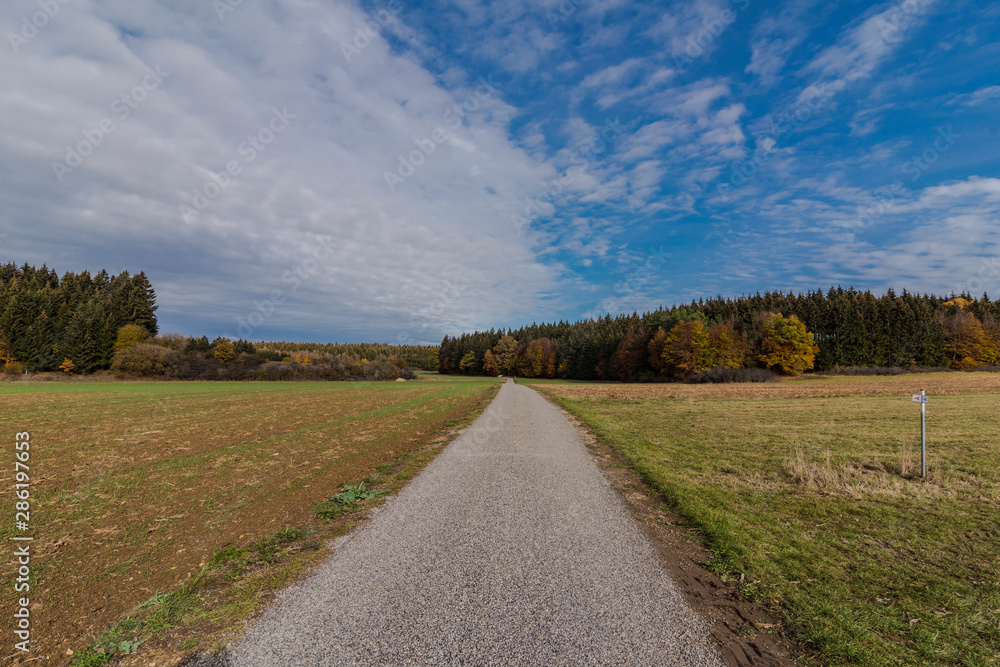 beautiful landscape in the nature. Trees fields and no people. beautiful landscape in the nature. Trees fields and no people.