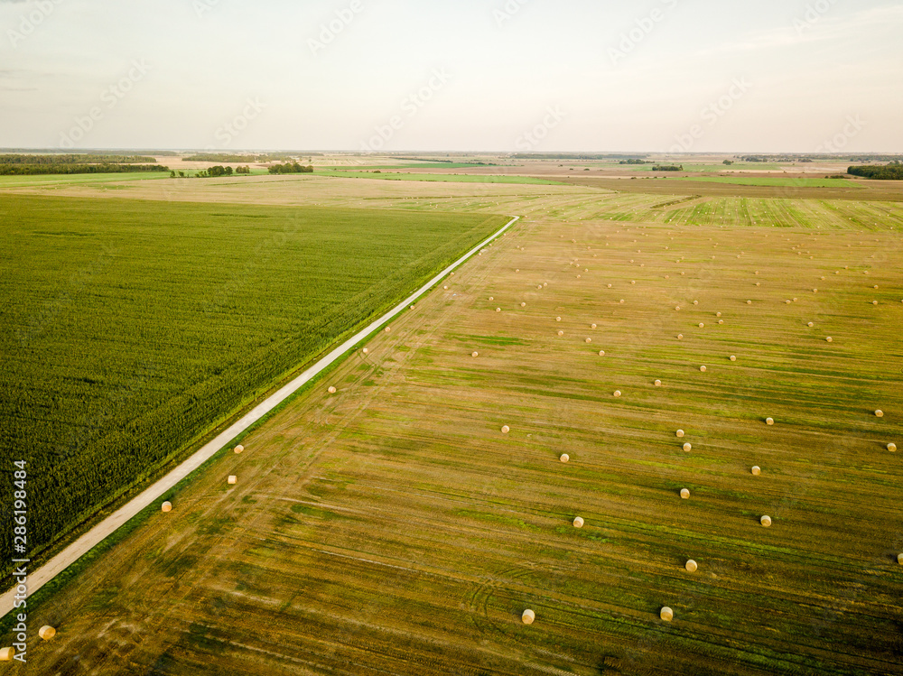 Agricultural fields during golden summer sunset