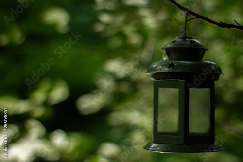 light lamp, green background, nature forest © Artur Kiselev