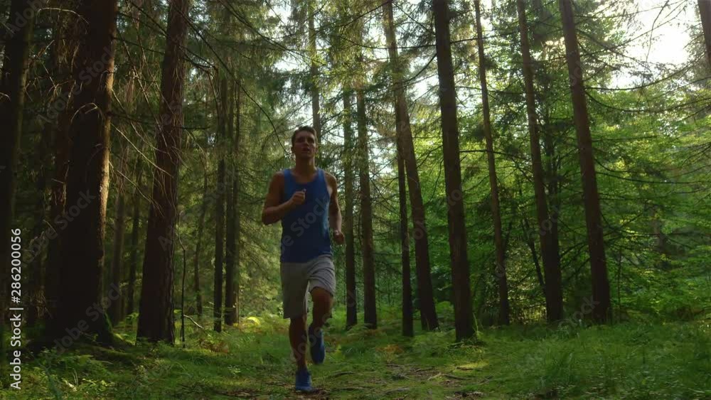 LOW ANGLE, CLOSE UP, SLOW MOTION: Energetic athletic man goes trail running through the scenic forest on a sunny spring afternoon. Carefree Caucasian male athlete jogging through the sunlit woods. LOW ANGLE, CLOSE UP, SLOW MOTION: Energetic athletic man goes trail running through the scenic forest on a sunny spring afternoon. Carefree Caucasian male athlete jogging through the sunlit woods.