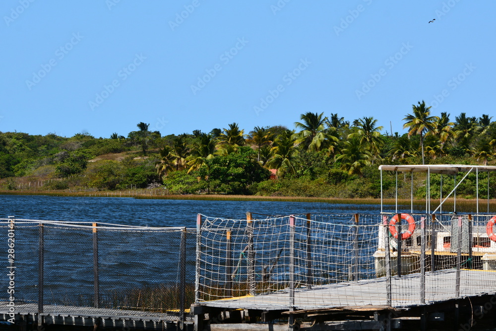 lagoinha lagoinha