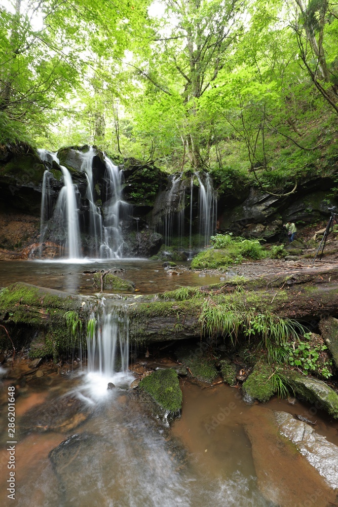 Naklejka premium 猿壺の滝