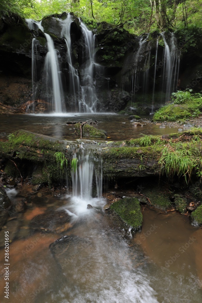 Obraz premium Wodospad małpy