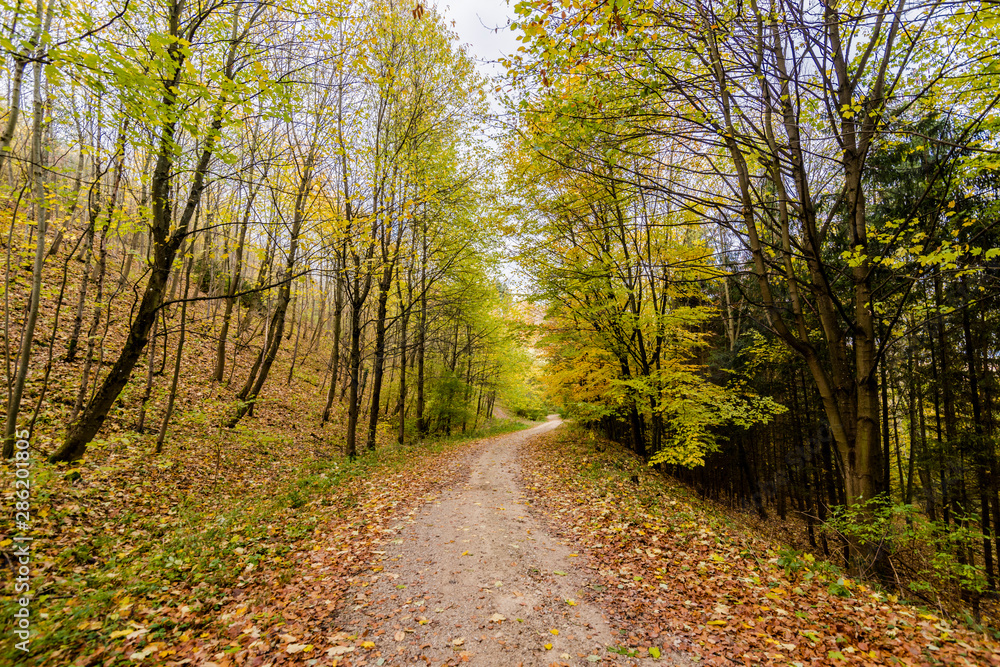 beautiful landscape in the nature. Trees fields and no people. beautiful landscape in the nature. Trees fields and no people.