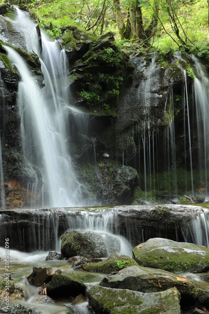 Fototapeta 猿壺の滝