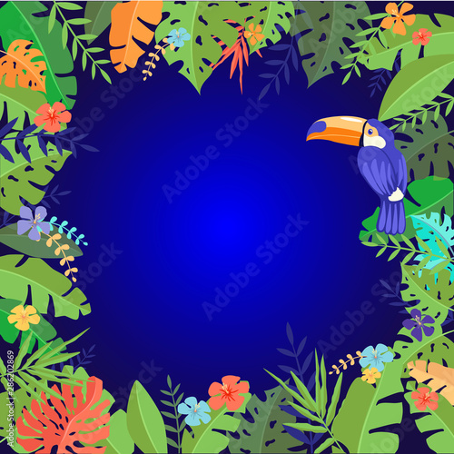 Fondo Tropical