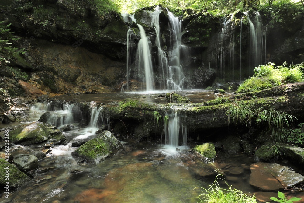 Fototapeta premium 猿壺の滝