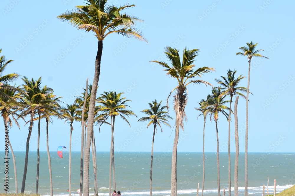 lagoinha lagoinha