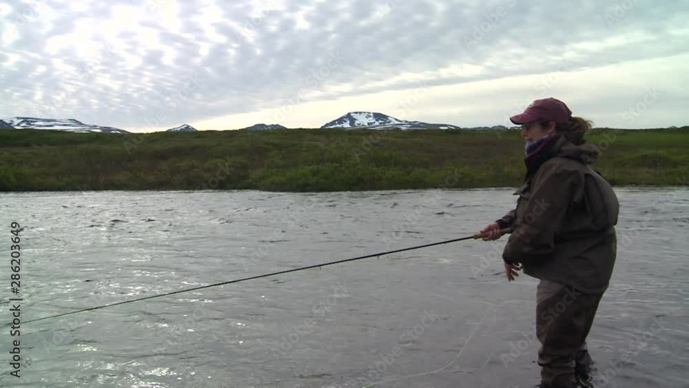 Male fly angler casting in American Creek for trout Male fly angler casting in American Creek for trout