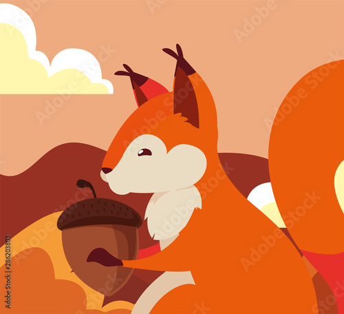 squirrel acorn happy autumn season flat design