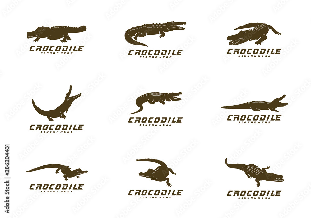 Set of Crocodile Logo Vector. Alligator emblem template Illustration