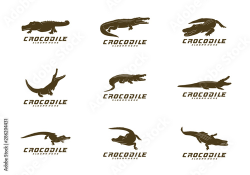 Foto Set of Crocodile Logo Vector