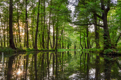 Spreewald im Herbst