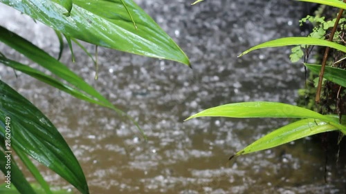 Blurred bokeh, beautiful natural water, glitter and flowing water
