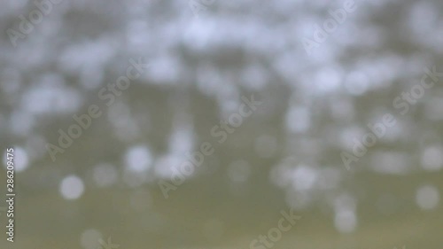 Blur bokeh water beautiful nature glitter