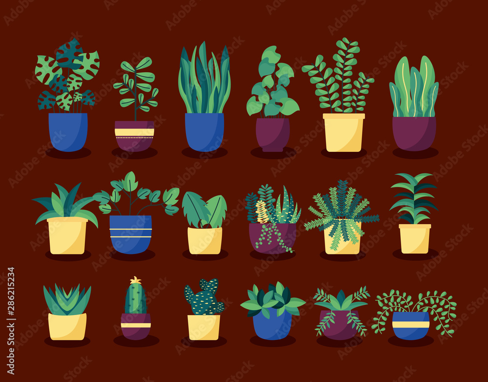 decorative house plants interior design decorative house plants interior design