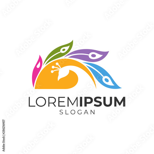 peacock colorful logo.flat style.elegant animal symbol.modern design.vector illustration