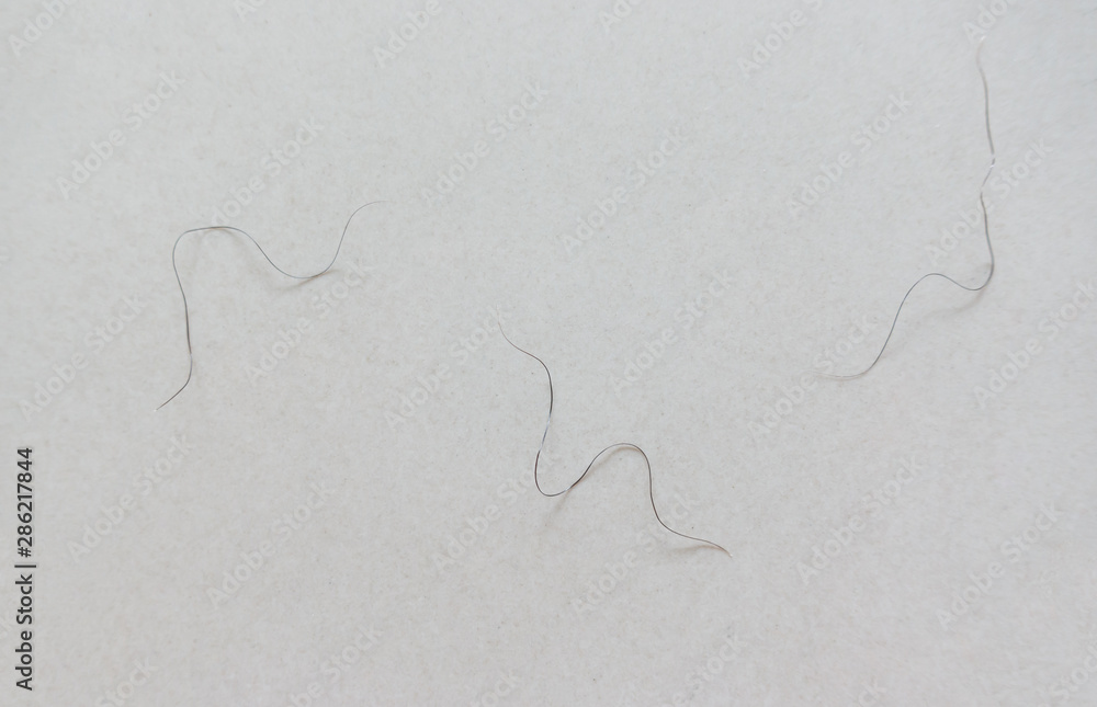 Photo & Art Print pubic hair fall on bedroom floor, anankkml photo-art-print-pubic-hair-fall-on-bedroom-floor-anankkml