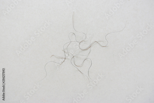 Photos pubic hair fall on bedroom floor