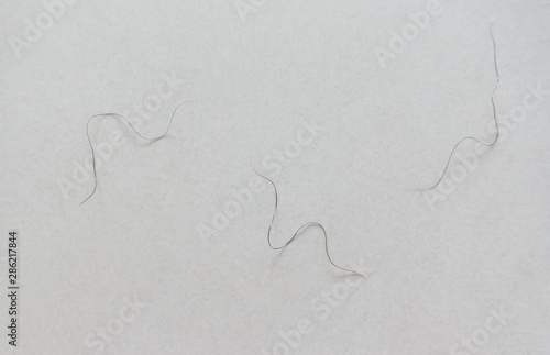 Canvas Print pubic hair fall on bedroom floor