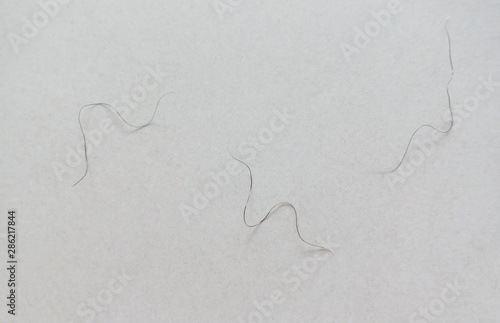 pubic hair fall on bedroom floor photo