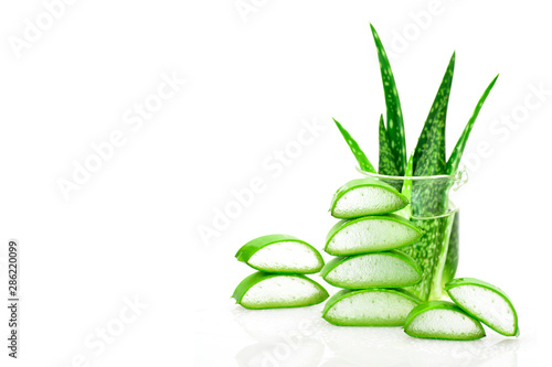 Slice Aloe Vera useful herbal medicine for skin care and hair care.