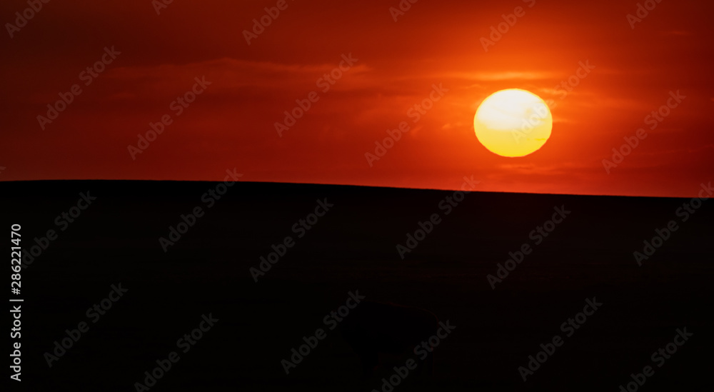 Sun Over Horizon of Smooth Field