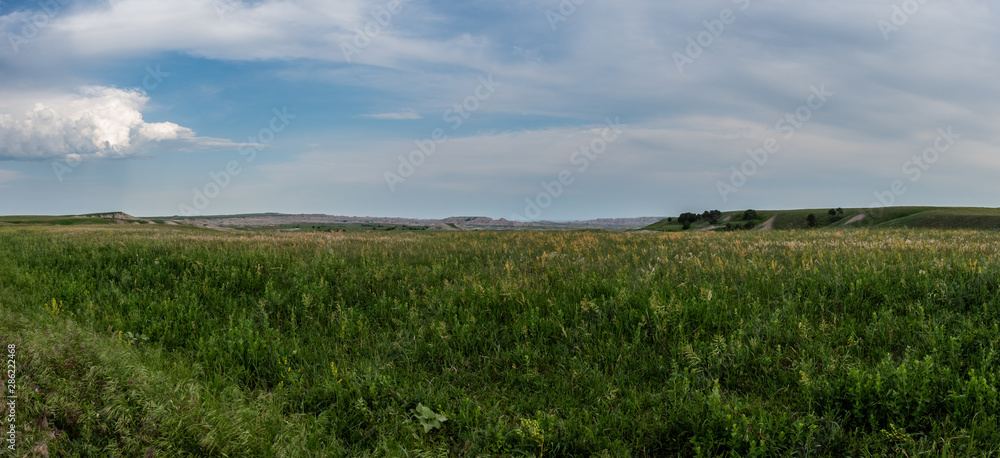 Sweeping Panorama of Grass in Badlands