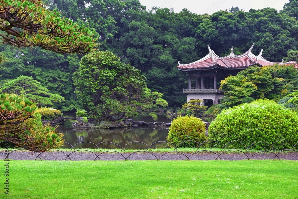 Traditional Japanese gardens in public parks in Tokyo, Japan. Views of stone lanterns, lakes, ponds, bonsai and wildlife walking around paths and trails. Asia. 