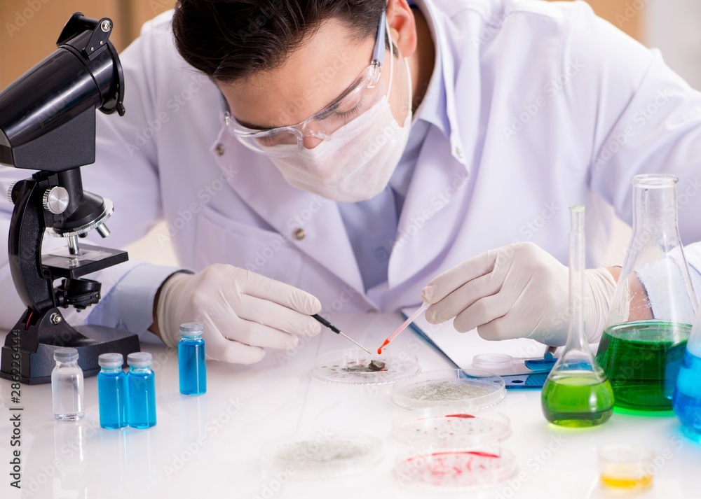 Male doctor working in the lab on virus vaccine