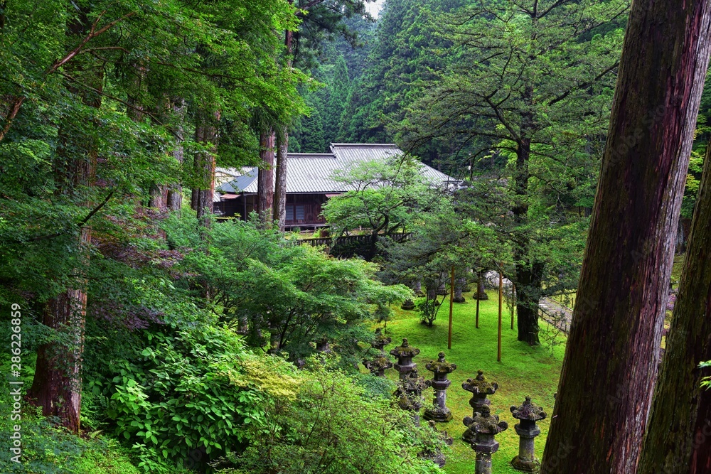 Traditional Japanese gardens in public parks in Tokyo, Japan. Views of stone lanterns, lakes, ponds, bonsai and wildlife walking around paths and trails. Asia. Traditional Japanese gardens in public parks in Tokyo, Japan. Views of stone lanterns, lakes, ponds, bonsai and wildlife walking around paths and trails. Asia.