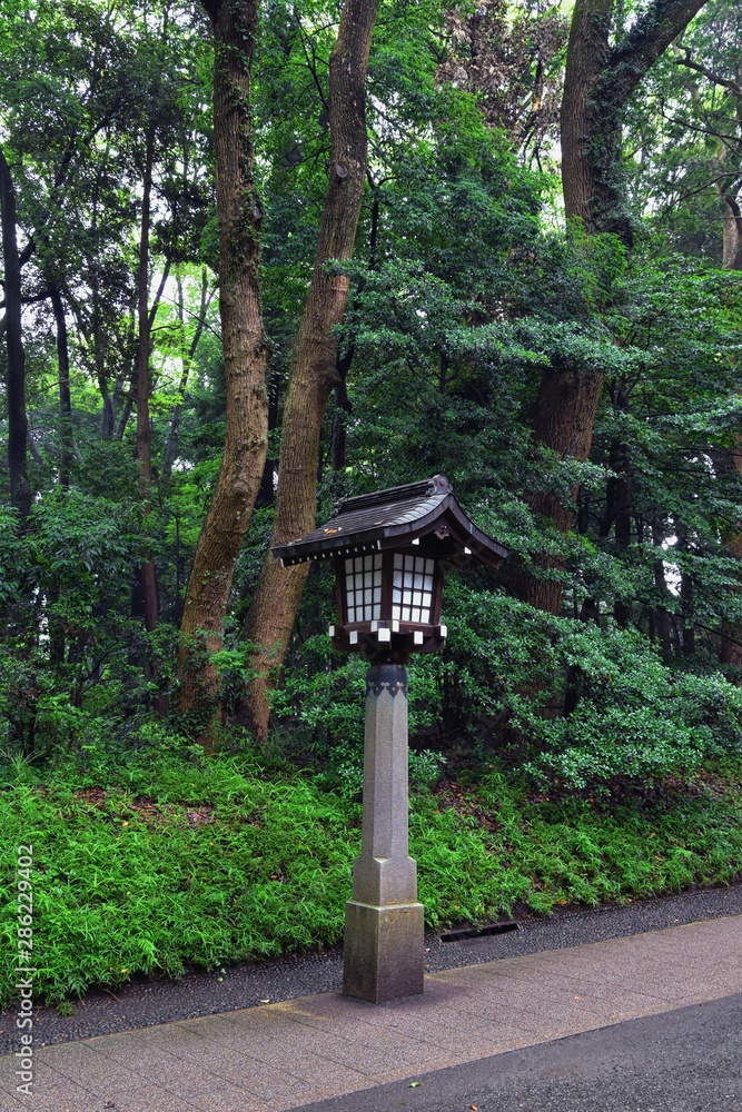 Traditional Japanese gardens in public parks in Tokyo, Japan. Views of stone lanterns, lakes, ponds, bonsai and wildlife walking around paths and trails. Asia. Traditional Japanese gardens in public parks in Tokyo, Japan. Views of stone lanterns, lakes, ponds, bonsai and wildlife walking around paths and trails. Asia.