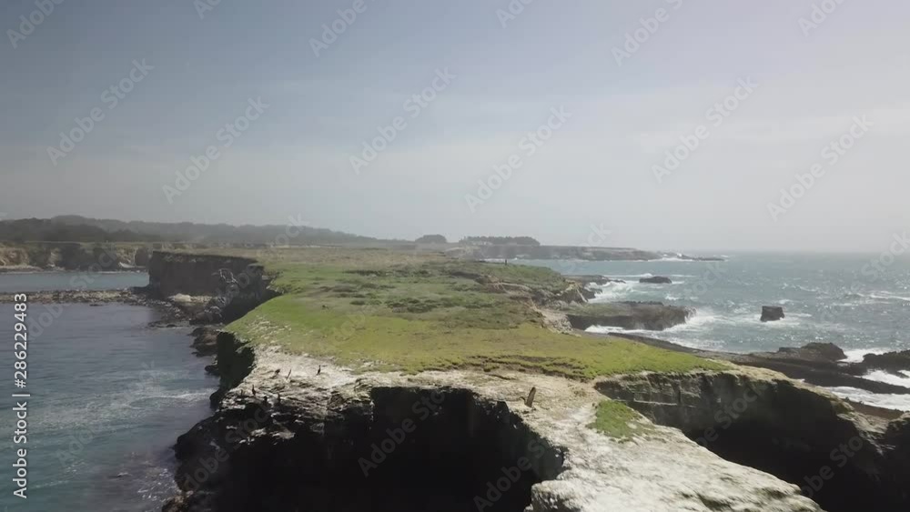 Low fly under cave full of birds Low fly under cave full of birds