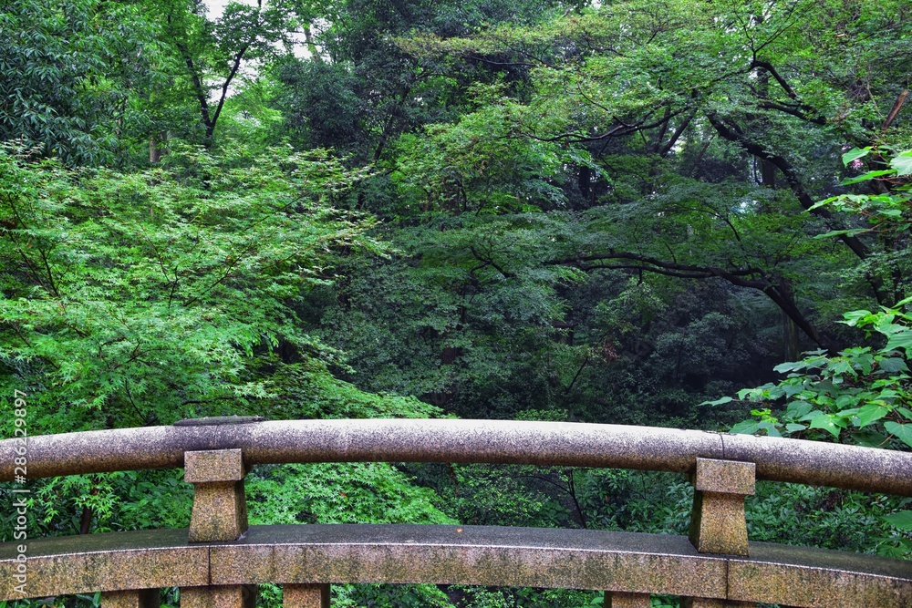 Traditional Japanese gardens in public parks in Tokyo, Japan. Views of stone lanterns, lakes, ponds, bonsai and wildlife walking around paths and trails. Asia. Traditional Japanese gardens in public parks in Tokyo, Japan. Views of stone lanterns, lakes, ponds, bonsai and wildlife walking around paths and trails. Asia.