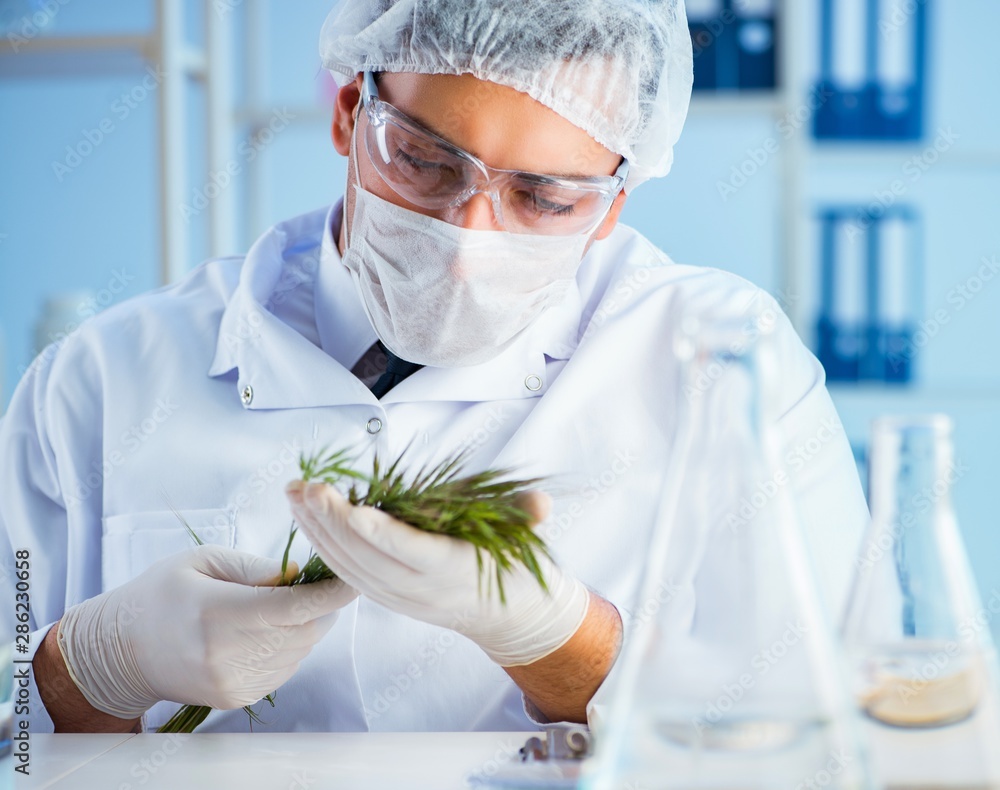 Biotechnology concept with scientist in lab Biotechnology concept with scientist in lab