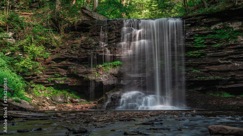 Fototapeta premium waterfall in forest